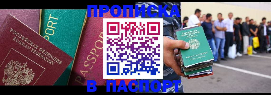 прописка гарантия в Тынде